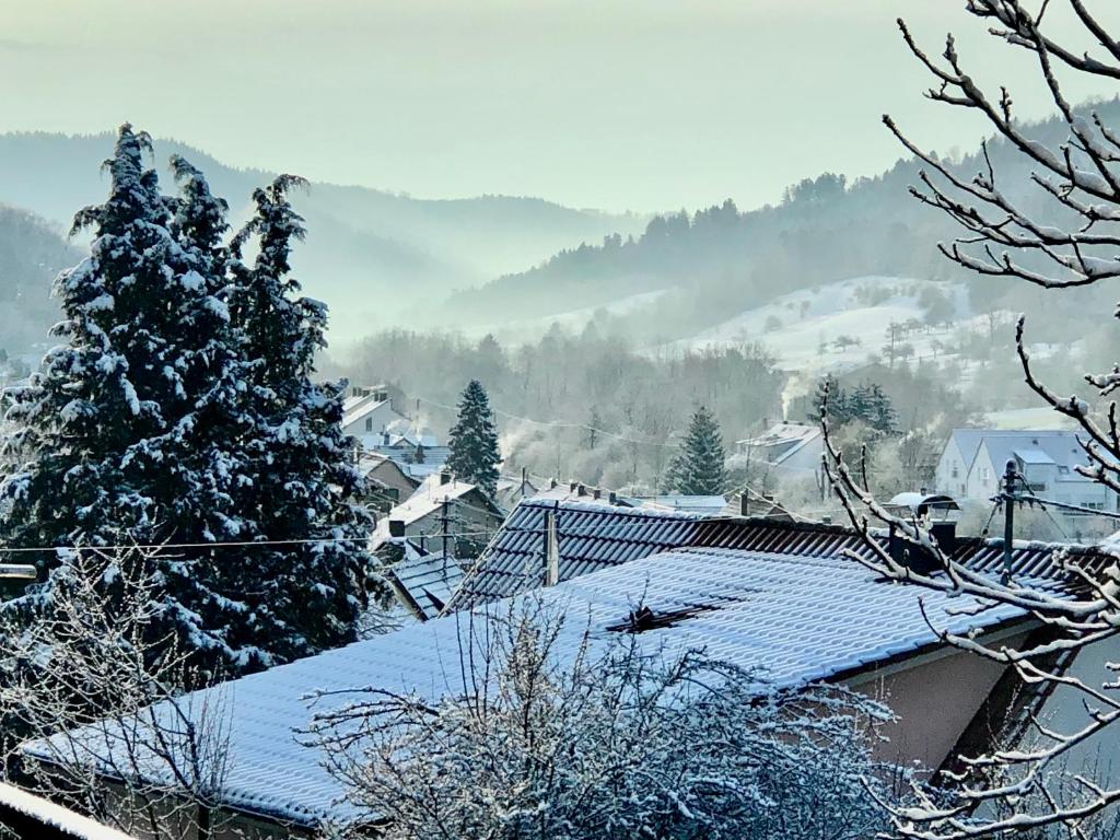 Příroda nedaleko apartmánu