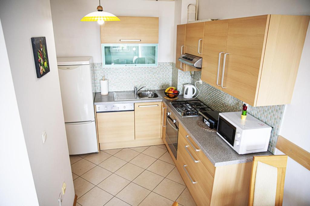 Kuchyňa alebo kuchynka v ubytovaní Apartman Tara