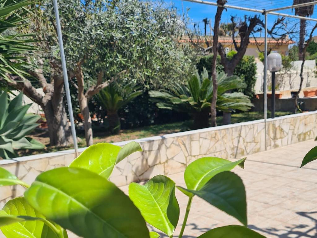 Zahrada ubytování Casa Vacanza Delfino Azzurro - Noto Marina -