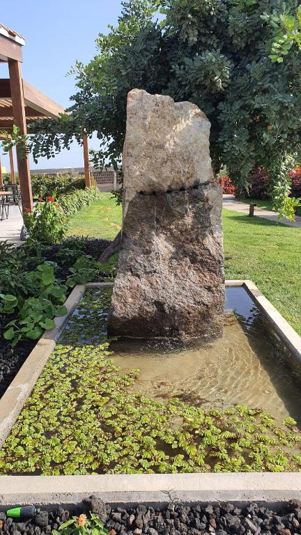 Zahrada ubytování Finca La Suerte Grande