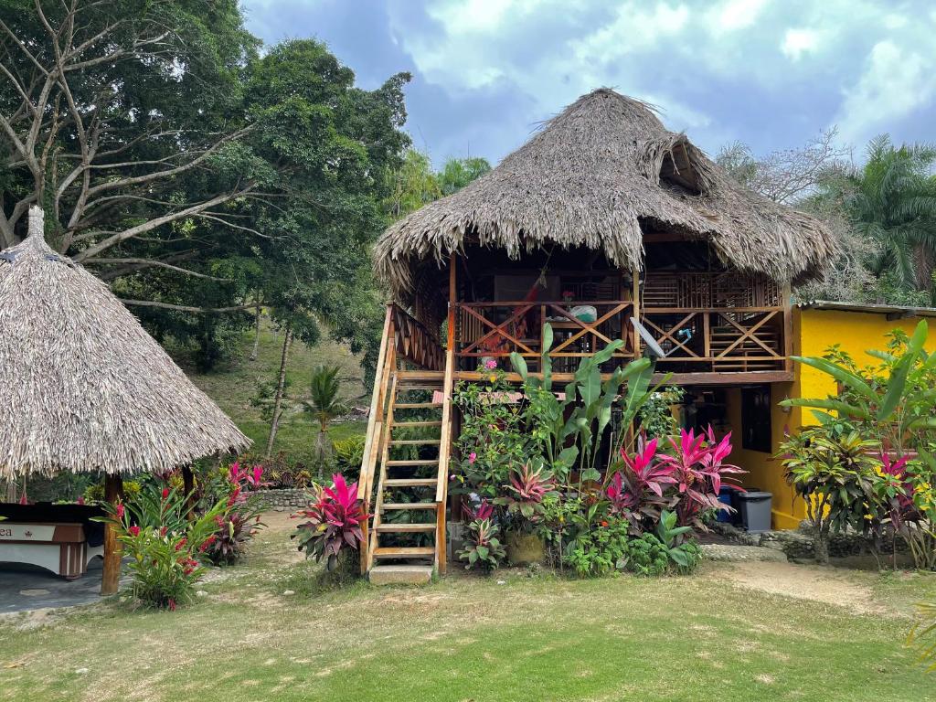 una pequeña casa con escalera y techo de paja en EcoHostal Palmares Del Rio, en Guachaca