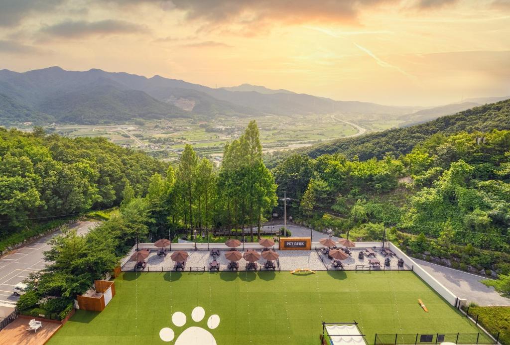 una vista aerea di un parco con impronte di cane sull'erba di Kensington Resort Chungju a Chungju