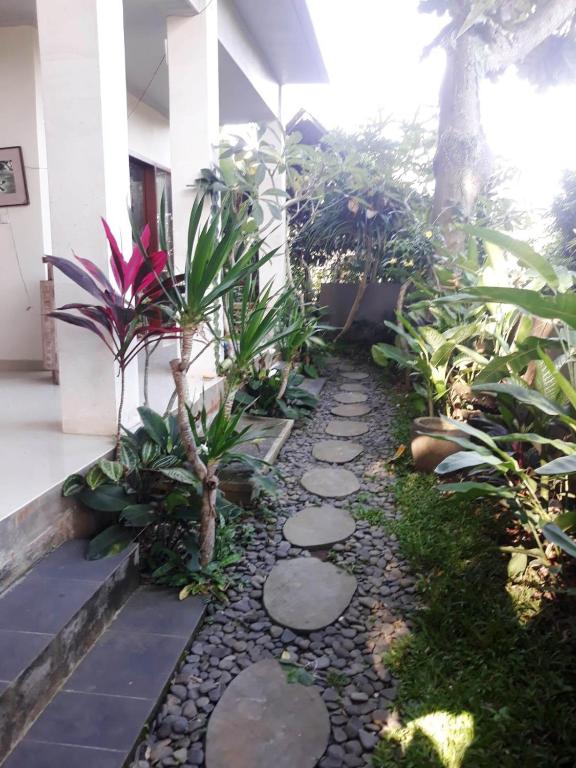 Zahrada ubytování Manggis Sari Guesthouse