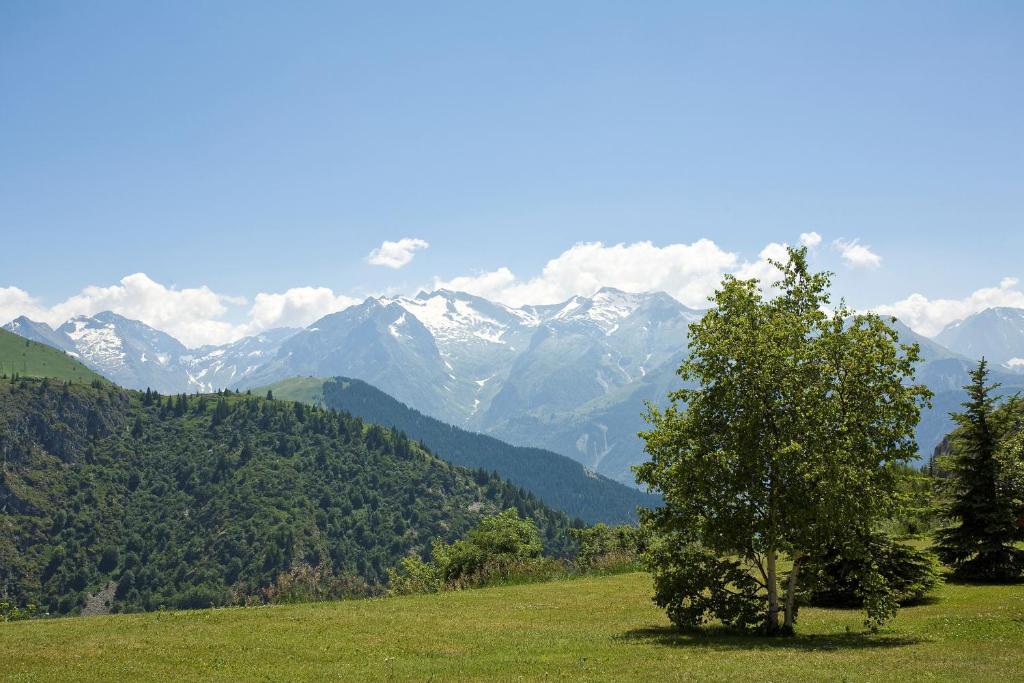 a tree in a field with mountains in the background at Le Pic Blanc in L&#39;Alpe-d&#39;Huez