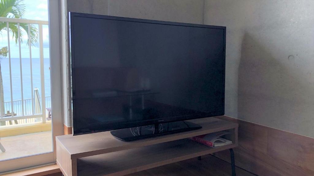 TV a/nebo společenská místnost v ubytování Churaumi on the Beach Motobu