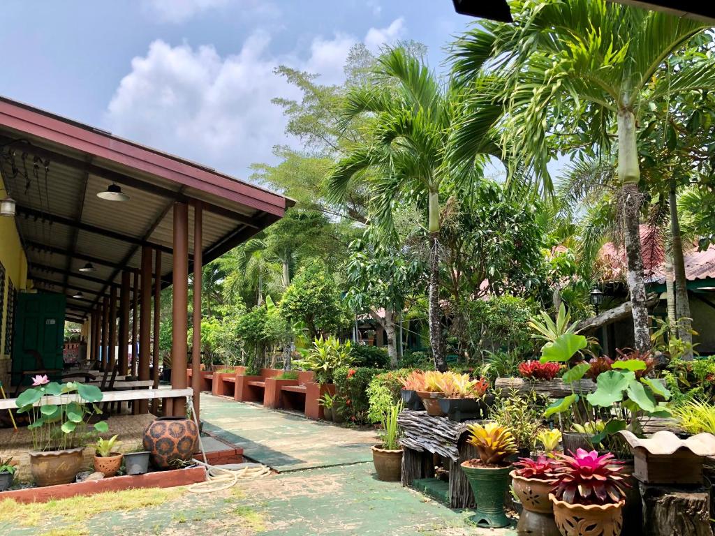 Pop riverside trat - 9