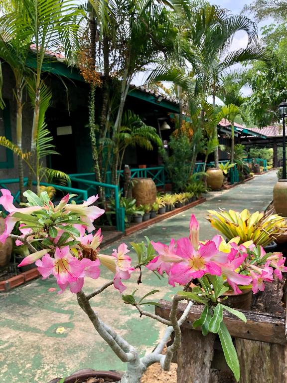 Pop riverside trat - 7