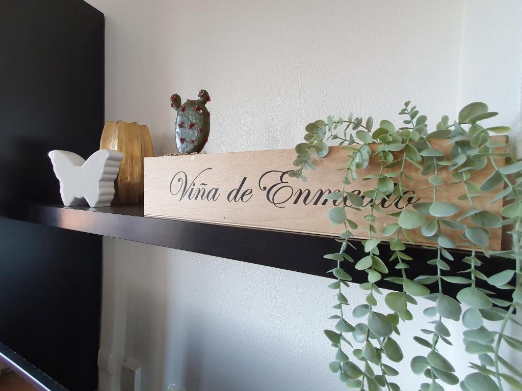 Fotografie z fotogalerie ubytování Apartamento Alameda Garden v destinaci Yecla