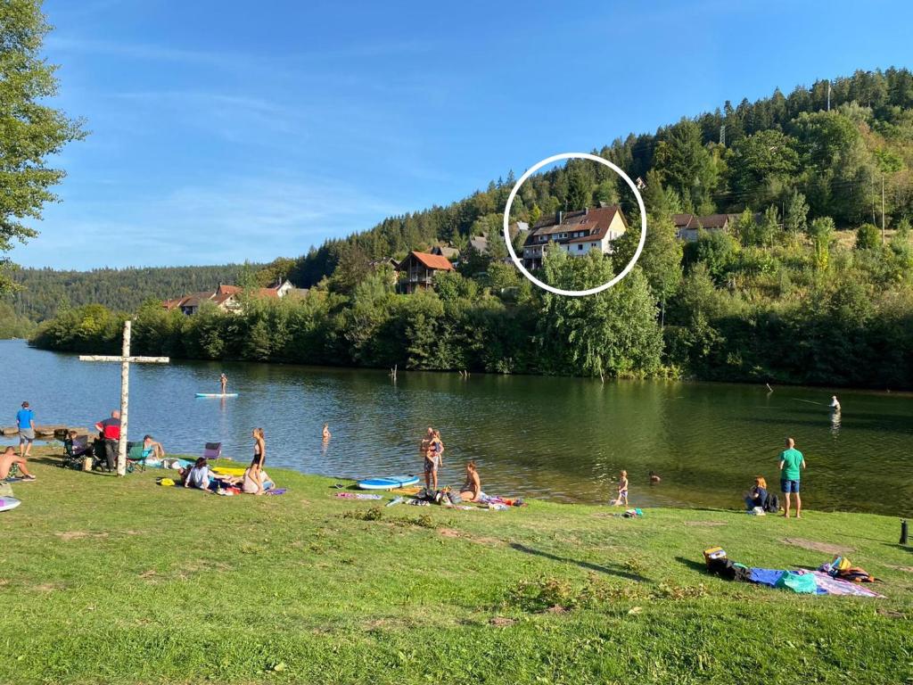 un grupo de personas yaciendo en la hierba cerca de un lago en Ferienwohnung am Badesee mit priv. Sauna /Terrasse, en Erzgrube