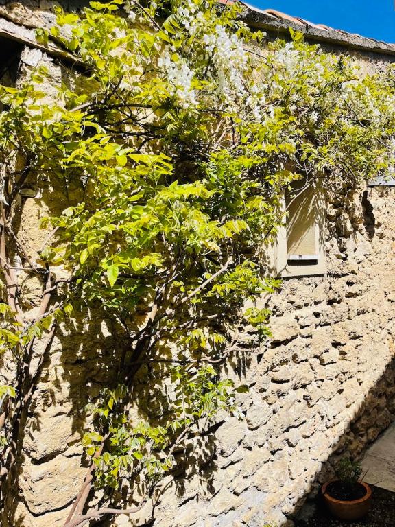 Fotografie z fotogalerie ubytování La Bastide des Songes - Demeure d'hôtes v destinaci Robion en Luberon