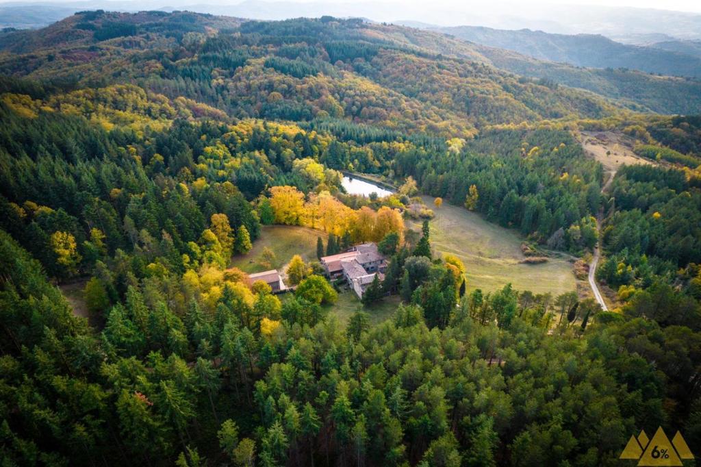 an aerial view of a house in the middle of a forest at Albergo Villa San Michele in Greve in Chianti