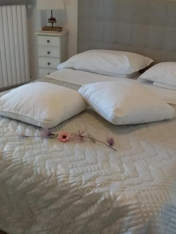 Villa Aurora B&B - 19