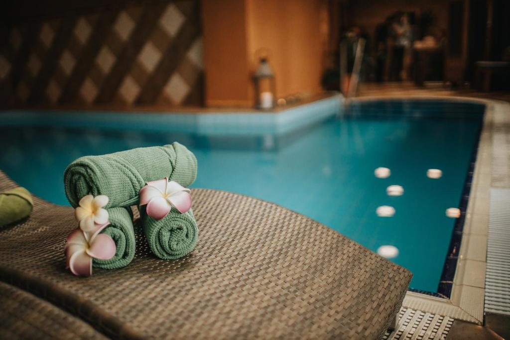 Bazén v ubytování Hotel Ruze nebo v jeho okolí