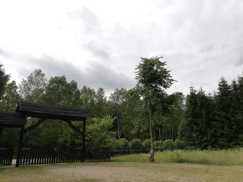 een prieel en een boom in een park bij Agroturystyka Leśniczówka Więckowo in Janowo