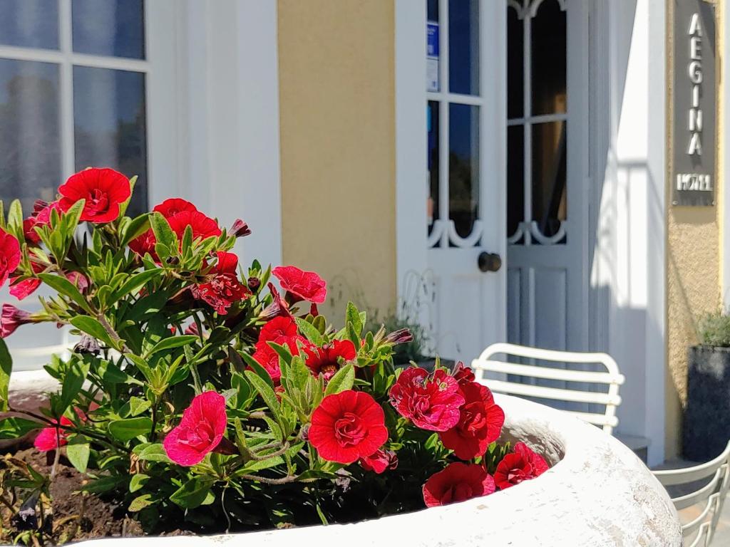 Zahrada ubytování Hotel Aegina
