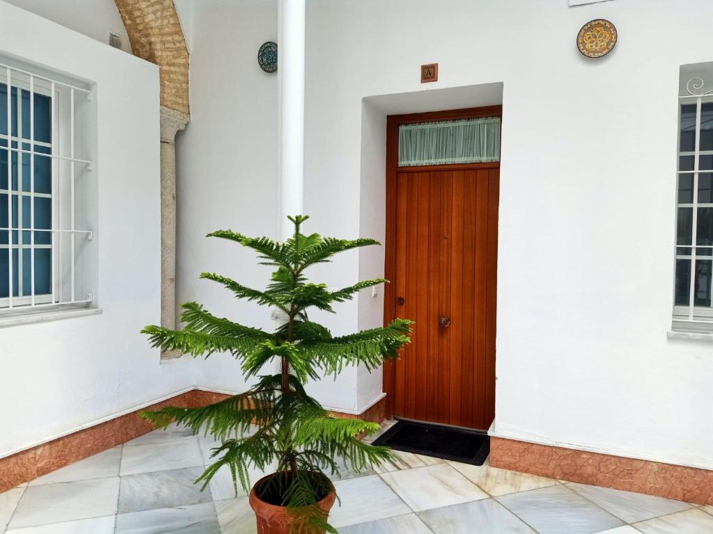 Fotografia z galérie ubytovania Residencial Casa Palacio v destinácii Sanlúcar de Barrameda