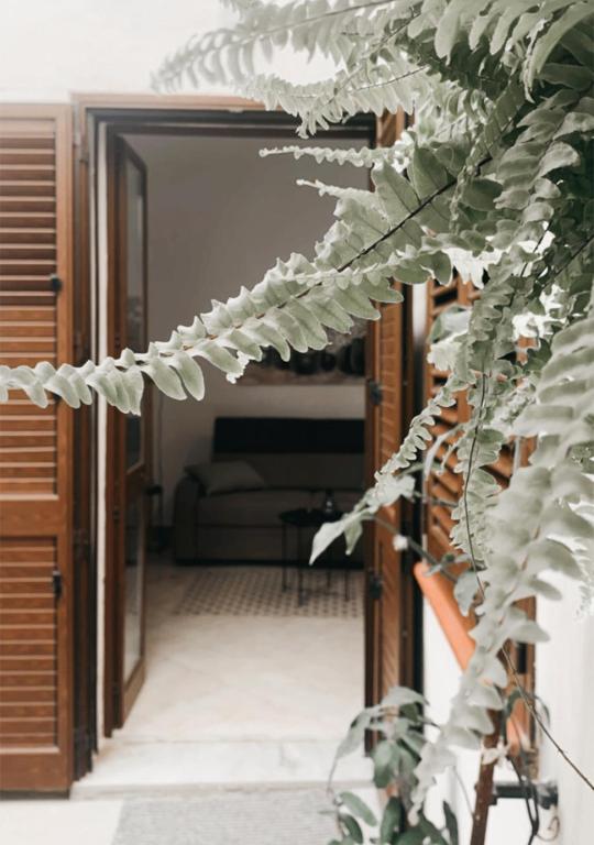 widok na salon z rośliną w obiekcie La Casa Di Maya w mieście Marsala