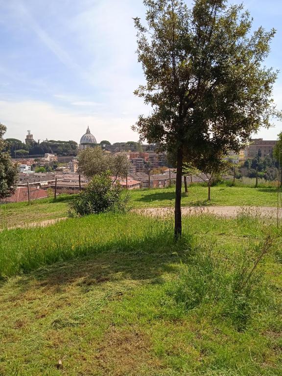 Kép L' Interno 22 szállásáról Rómában a galériában