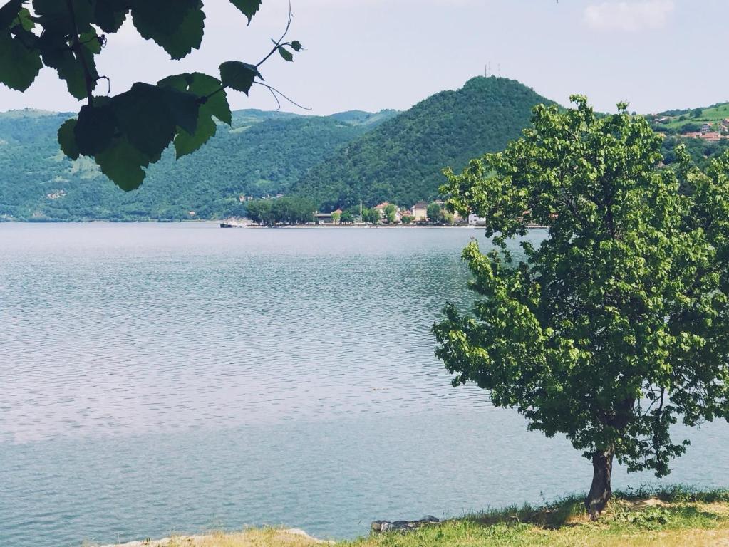 Aparmani LEPENAC na obali Dunava APARTMENTS Danube Waterfront