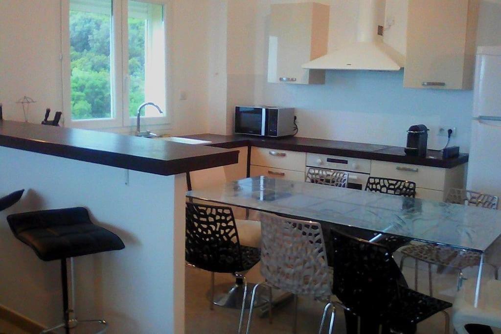 Kuchyň nebo kuchyňský kout v ubytování Appartement F3(70m²) vue sur la mer