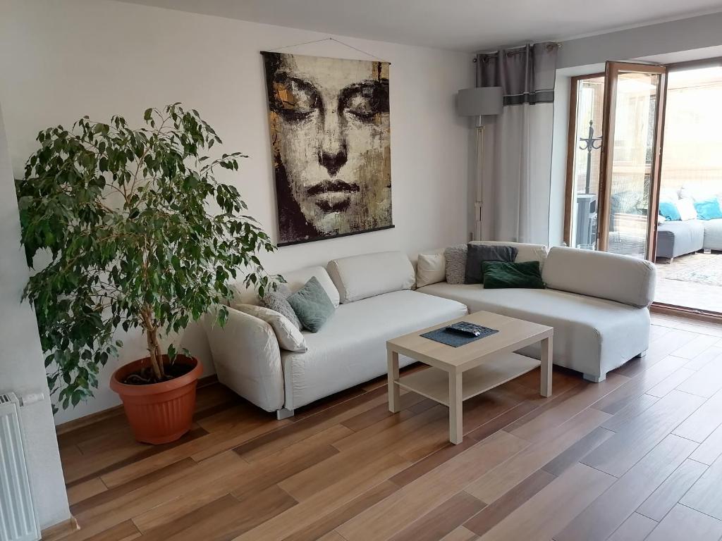 a living room with a couch and a table at Apartamenty pod Dzikowcem in Boguszów-Gorce