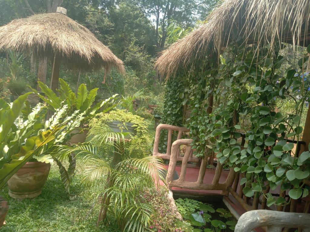 un banco en un jardín con un montón de plantas en Sigiriya Nature View home Stay en Sigiriya