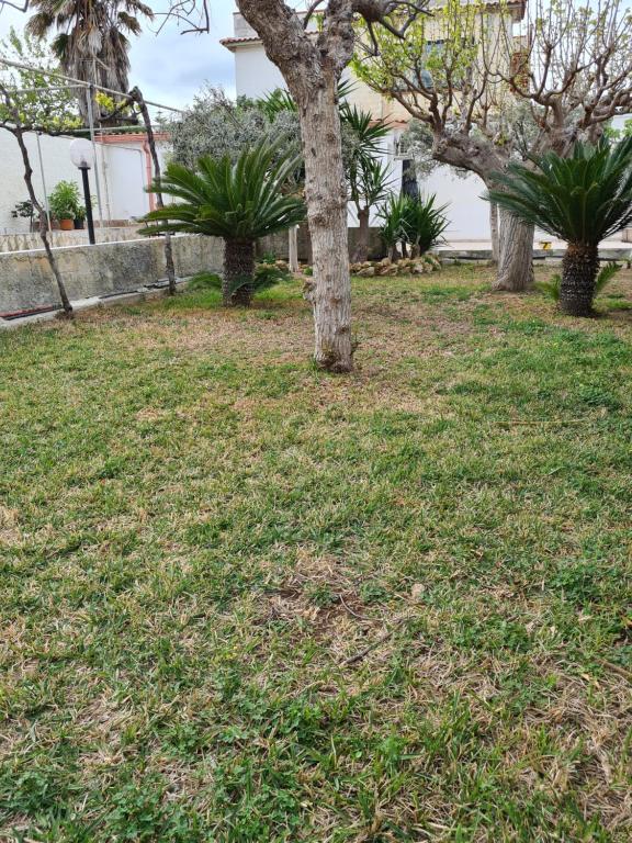 Zahrada ubytování Casa Vacanza Delfino Azzurro - Noto Marina -