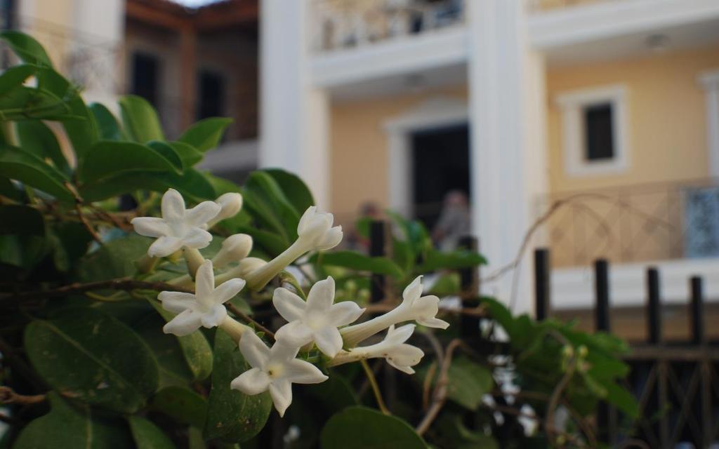 Fotografie z fotogalerie ubytování Renia Hotel Agia Pelagia -Crete v destinaci Agia Pelagia