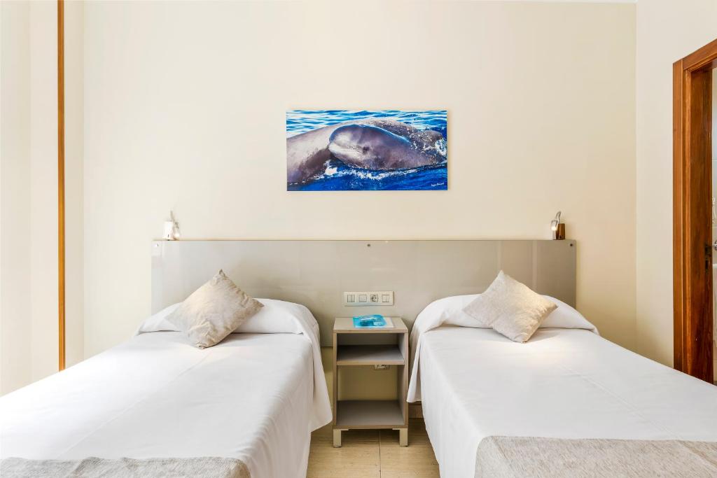 two beds in a room with a dolphin in the water at Hotel Andrea´s in Los Cristianos