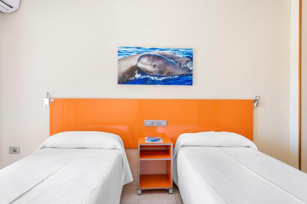 a room with two beds and a dolphin in the water at Hotel Andrea´s in Los Cristianos