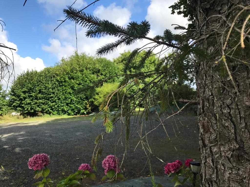 Zahrada ubytování Manoir de Parc ar Brun
