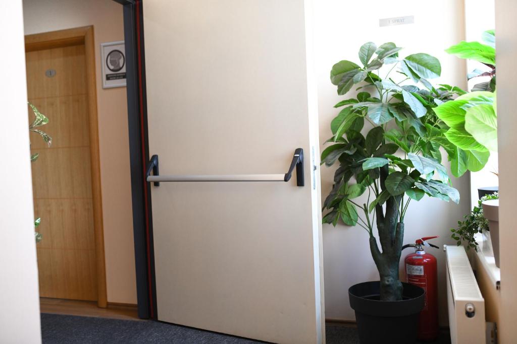 Hotel Garden - Resim 45