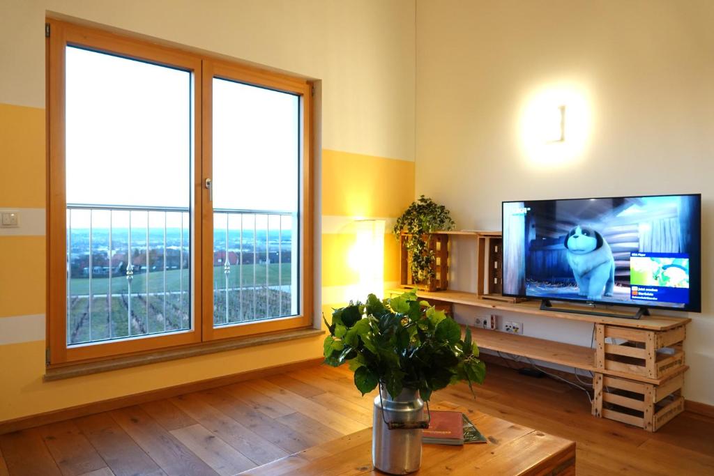 TV a/nebo společenská místnost v ubytování Weinbergshof Rickel