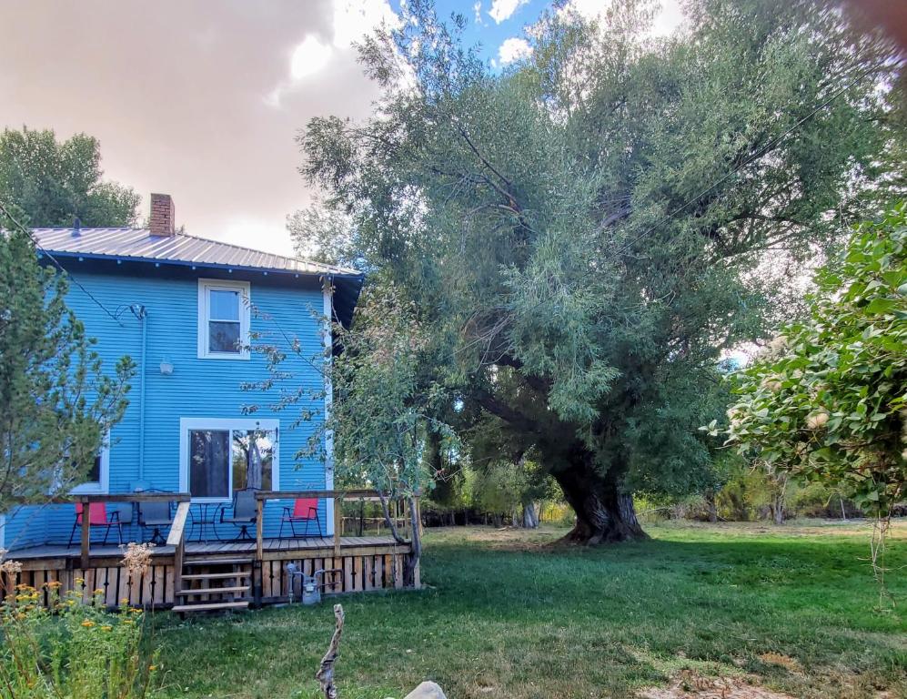 ein blaues Haus mit einem Baum im Hof in der Unterkunft Spacious Farmhouse with Pond in Augusta