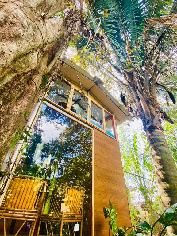 Guest House Pura Vida - Bungalow With Garden View