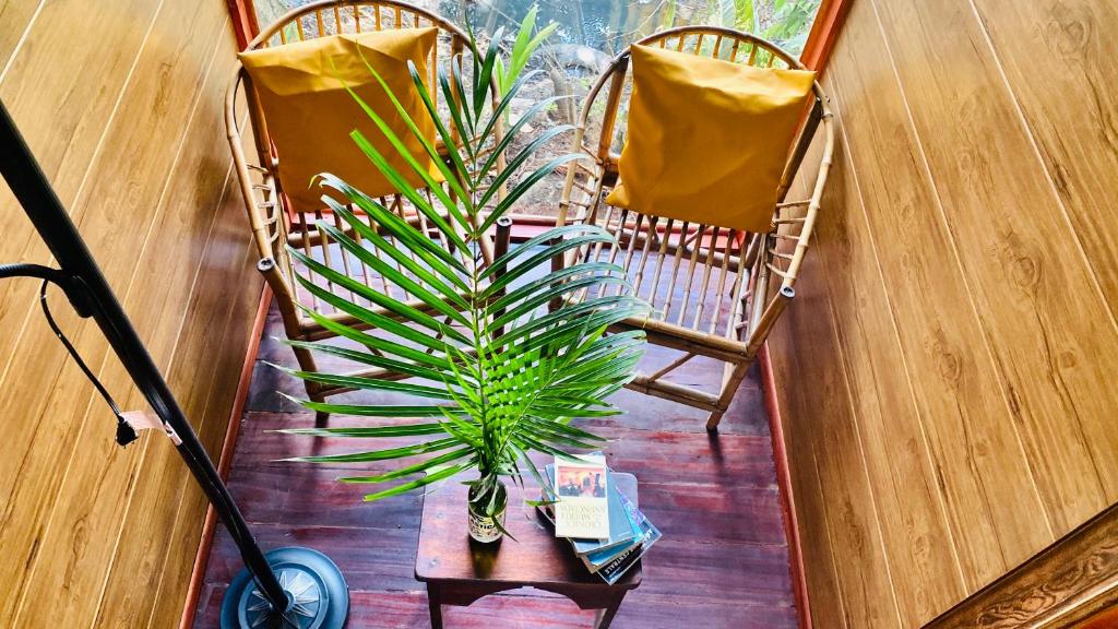 Posezení v ubytování Guest House Pura Vida