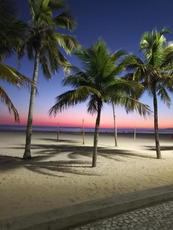 a group of palm trees on a beach at sunset at Solar Canto do Forte in Praia Grande
