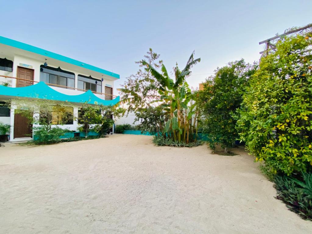 - un bâtiment sur la plage à côté d'un complexe dans l'établissement CABO BOHEMIA Tropical Garden Studios, à Cabo San Lucas