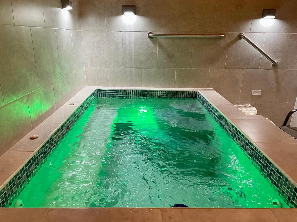 a swimming pool with green water in a bathroom at Holly Bunker in Yabucoa