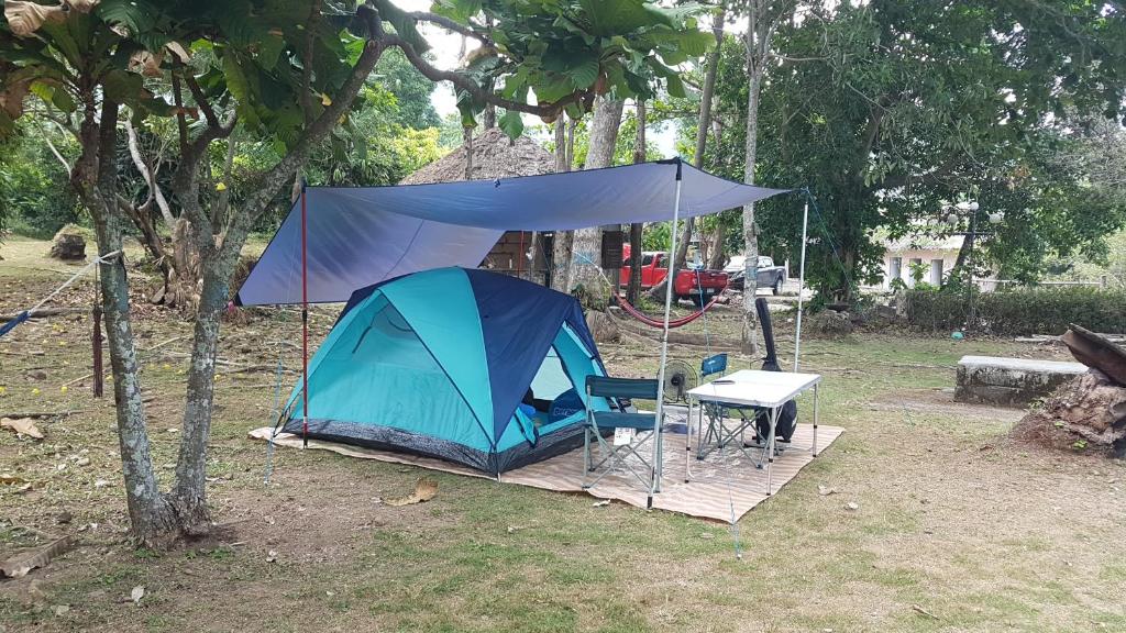 ฺBay Yard Hut