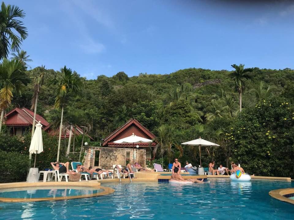 Tanouy Garden - отзывы и видео