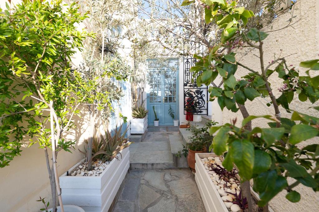 A garden outside Dionysos Hotel