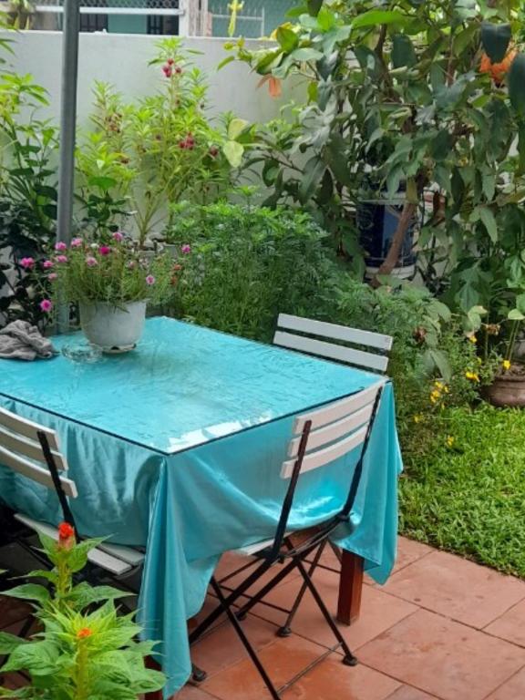 Zahrada ubytování Star Garden Hoi An