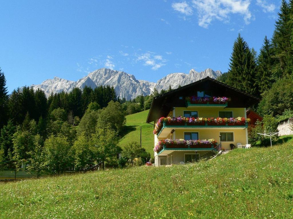 une maison sur une colline avec des fleurs sur elle dans l'établissement Haus Elisabeth, à Mühlbach am Hochkönig