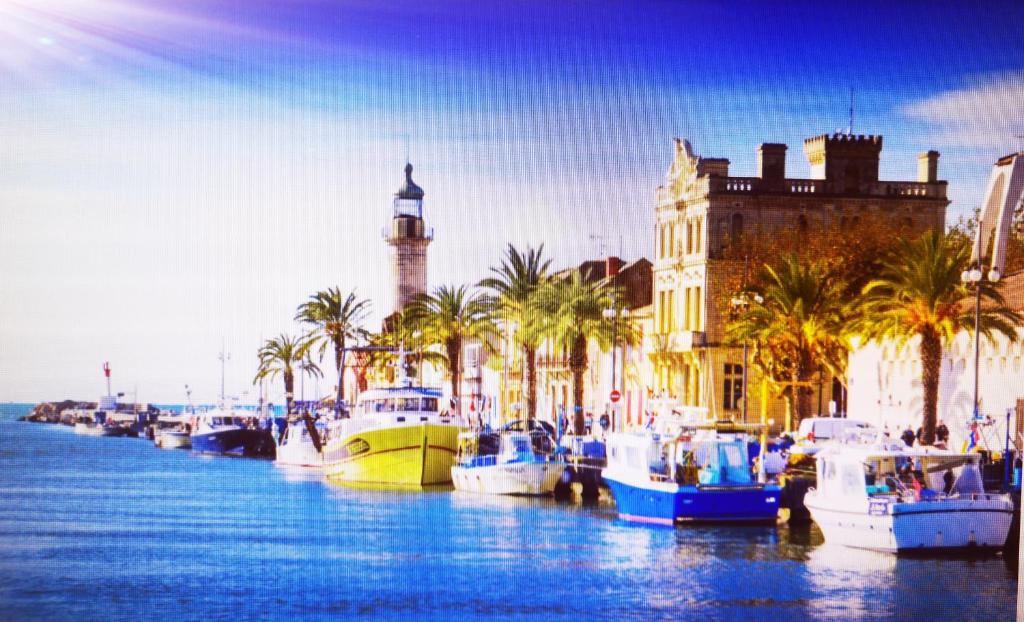 Un grupo de barcos atracados en un puerto con edificios y palmeras. en Appartement contemporain le Vendome à 90m de la plage, en Le Grau-du-Roi