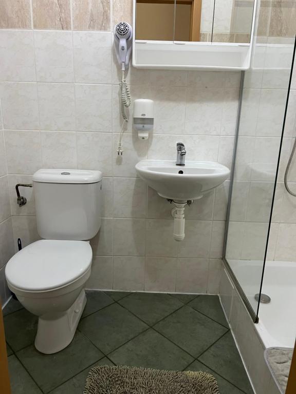 Koupelna v ubytování Zrcadlová Koza