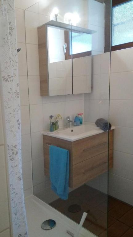 Kúpeľňa v ubytovaní Haus Flora am Kaiser