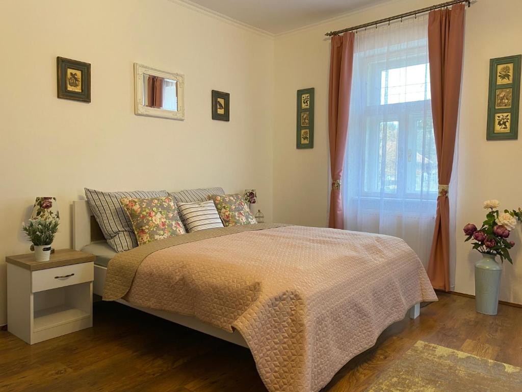 沙托勞爾堯烏伊海伊的住宿－Fehér-patak Vendégház，一间卧室设有一张床和一个窗口