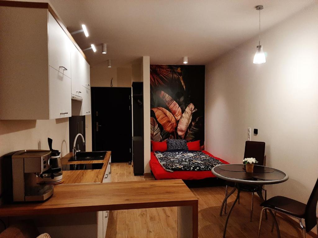 Kuchyňa alebo kuchynka v ubytovaní Apartament pod Szyndzielnią, Dębowiec