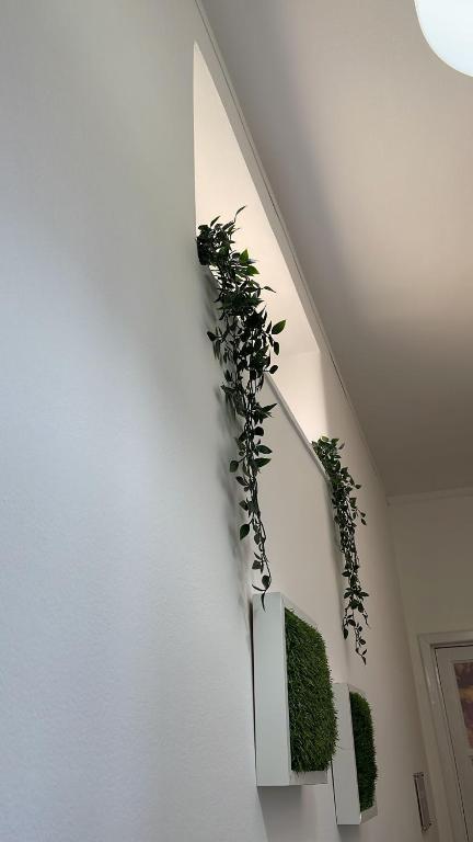 Zdjęcie z galerii obiektu Casa Sofia w Katanii